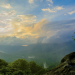 Rainy Ohiopyle forest offers fun window into Appalachian ecology debate